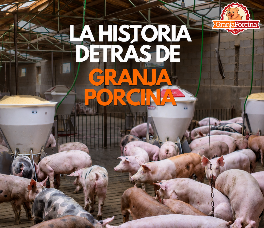 Nuestra historia en Granja Porcina — producción propia Río Grande